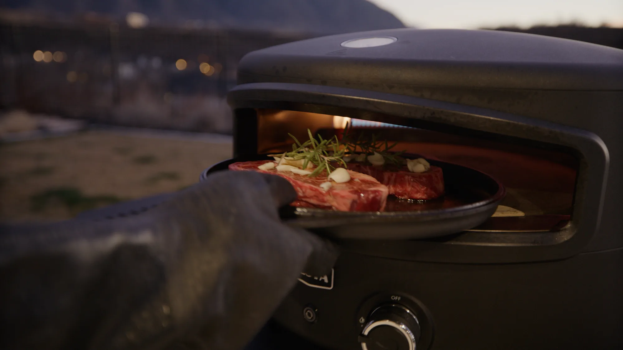 Steaks & Searing
